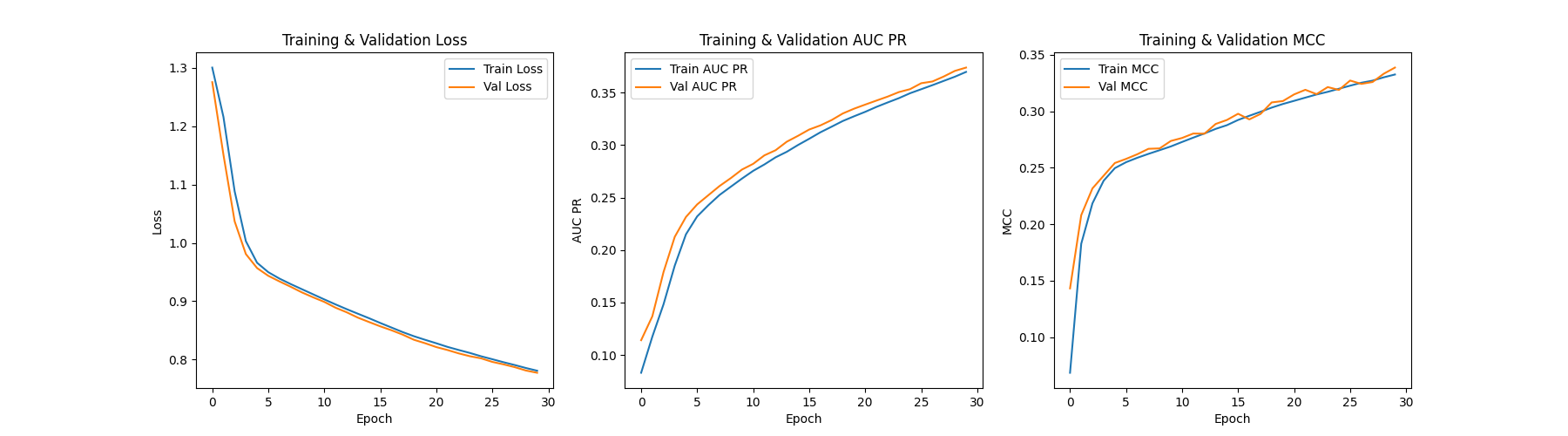 Training loss for BLOSUM62